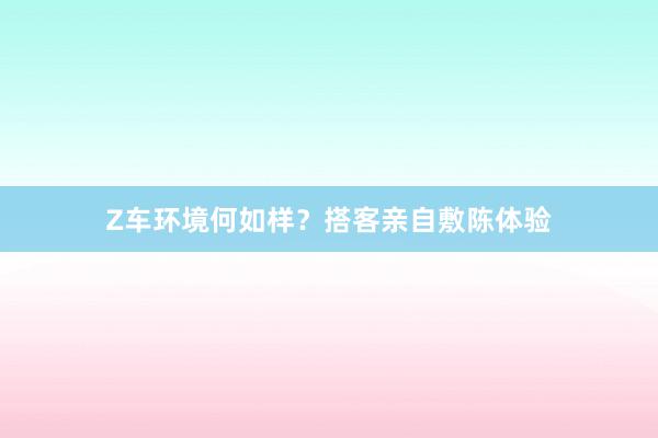 Z车环境何如样？搭客亲自敷陈体验
